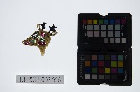 藏品(皮影戲偶頭-雜)的圖片