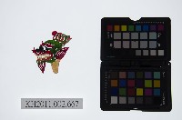 藏品(皮影戲偶頭-雜)的圖片