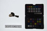 藏品(皮影戲戲服-戲帽)的圖片