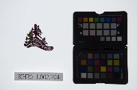 藏品(皮影戲戲服-戲帽)的圖片