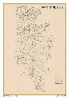 藏品(1904年鳳山廳里程圖)的圖片