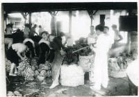 藏品(旗山香蕉產業)的圖片