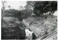 藏品(鳳山曹公圳)的圖片