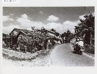 藏品()的圖片