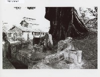 藏品()的圖片
