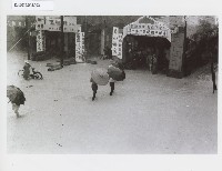 藏品()的圖片