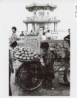 藏品()的圖片