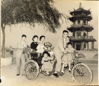藏品()的圖片