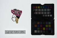 藏品(皮影戲偶頭-生)的圖片