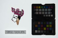 藏品(皮影戲偶頭-生)的圖片