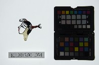 藏品(皮影戲偶頭-生)的圖片