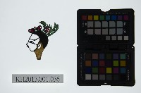 藏品(皮影戲偶頭-生)的圖片