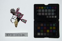 藏品(皮影戲偶頭-生)的圖片