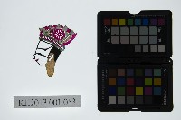 藏品(皮影戲偶頭-生)的圖片