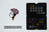 藏品(皮影戲偶頭-生)的圖片