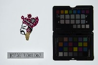 藏品(皮影戲偶頭-生)的圖片