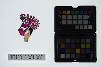 藏品(皮影戲偶頭-生)的圖片