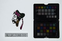 藏品(皮影戲偶頭-生)的圖片