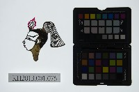 藏品(皮影戲偶頭-生)的圖片