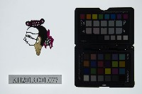 藏品(皮影戲偶頭-生)的圖片