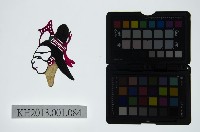 藏品(皮影戲偶頭-旦)的圖片