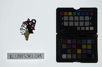 藏品(皮影戲偶頭-旦)的圖片