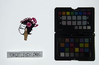 藏品(皮影戲偶頭-旦)的圖片