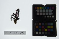 藏品(皮影戲偶頭-旦)的圖片