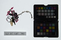 藏品(皮影戲偶頭-旦)的圖片