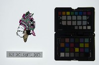 藏品(皮影戲偶頭-旦)的圖片