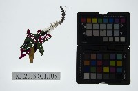 藏品(皮影戲偶頭-淨)的圖片