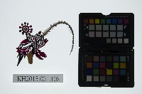 藏品(皮影戲偶頭-淨)的圖片