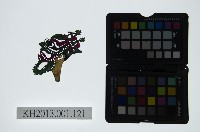 藏品(皮影戲偶頭-淨)的圖片