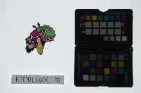 藏品(皮影戲偶頭-淨)的圖片