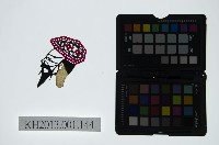 藏品(皮影戲偶頭-末)的圖片