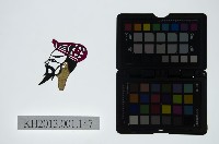 藏品(皮影戲偶頭-末)的圖片