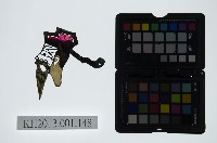 藏品(皮影戲偶頭-末)的圖片