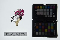 藏品(皮影戲偶頭-丑)的圖片