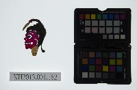 藏品(皮影戲偶頭-雜)的圖片