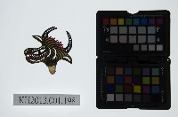 藏品(皮影戲偶頭-雜)的圖片