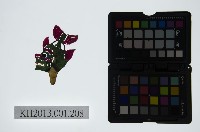 藏品(皮影戲偶頭-雜)的圖片