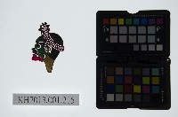 藏品(皮影戲偶頭─雜)的圖片