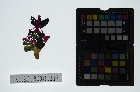 藏品(皮影戲偶頭-雜)的圖片