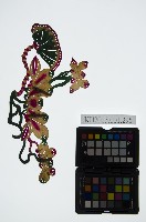 藏品(皮影戲道具-荷花)的圖片