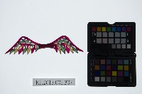 藏品(皮影戲道具-鳥翅)的圖片