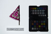 藏品(皮影戲道具-帥旗)的圖片