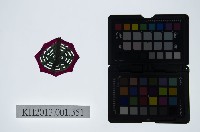 藏品(皮影戲道具-八卦)的圖片