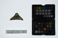 藏品(皮影戲戲帽-斗笠)的圖片