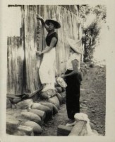 藏品(愛護養女，人人有責)的圖片