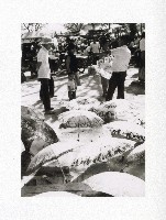 藏品(岡山籃籗會中山公園時期-2)的圖片